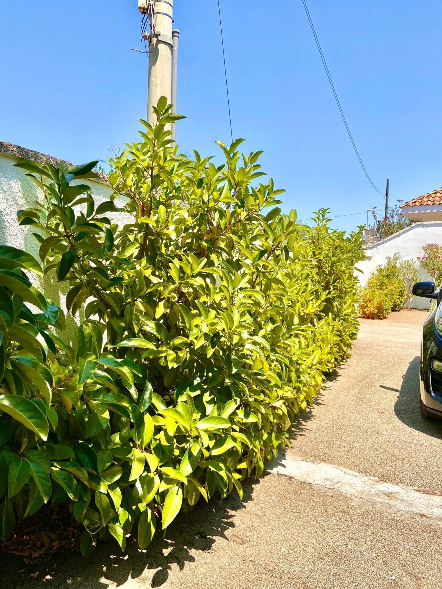 B&B Costa Azzurra 포르토 세자레오 외부 사진